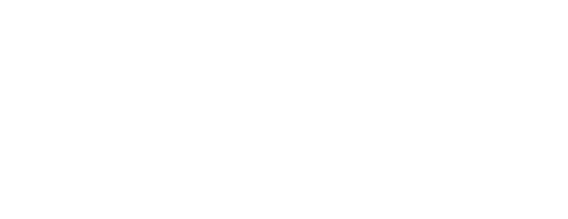 Import Genie Logo